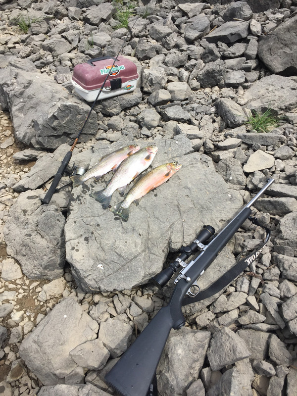 FB4D4765-10E2-41DE-9E33-FCE53D0D1B43