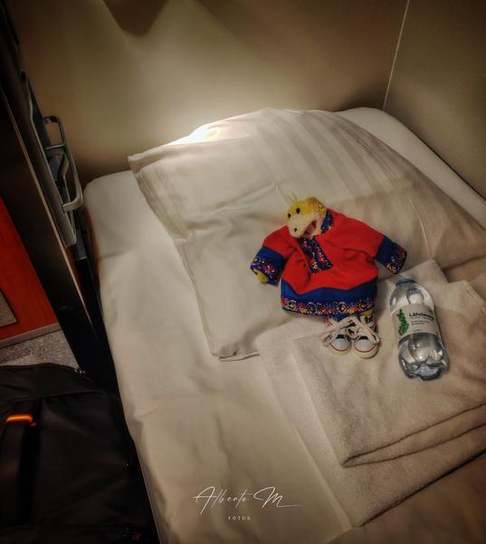 Auroras - 3.er reportaje por Laponia norte - Marzo 2025 - Blogs de Finlandia - PARTE I (23)