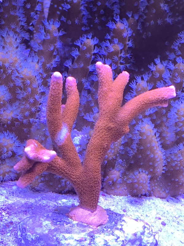 76A2CF3E-5910-4A36-B362-92B608469901