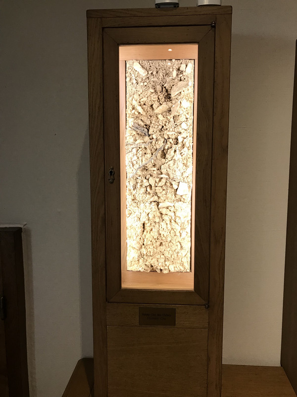 55646365-7C62-42F0-8ADB-C6A6EB6BCC06