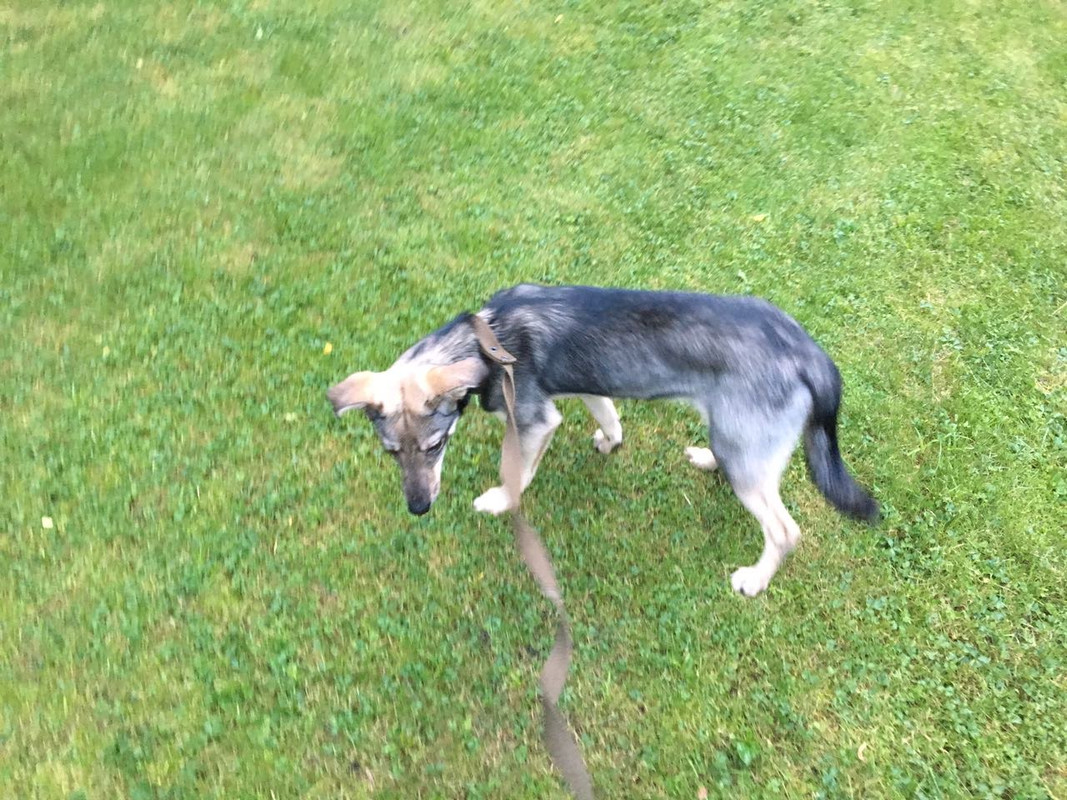 7D28BC9A-17E0-4BCE-B5D1-FA1E92836D75