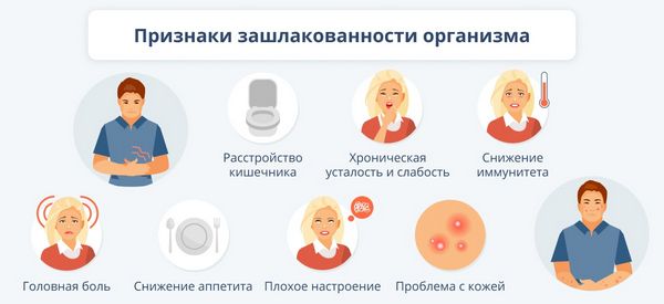 Очищение организма от токсинов и шлаков Очищение организма от токсинов и шлаков