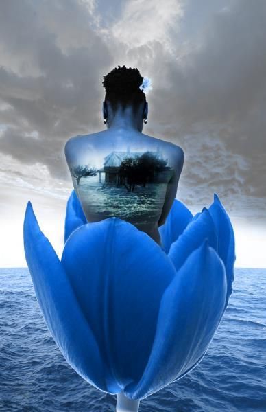 blue-petal.jpg