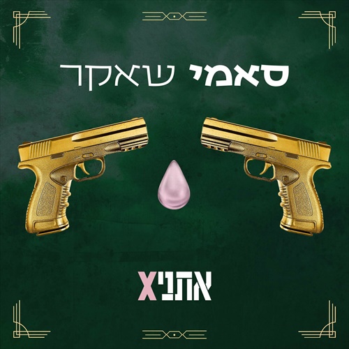 תמונה