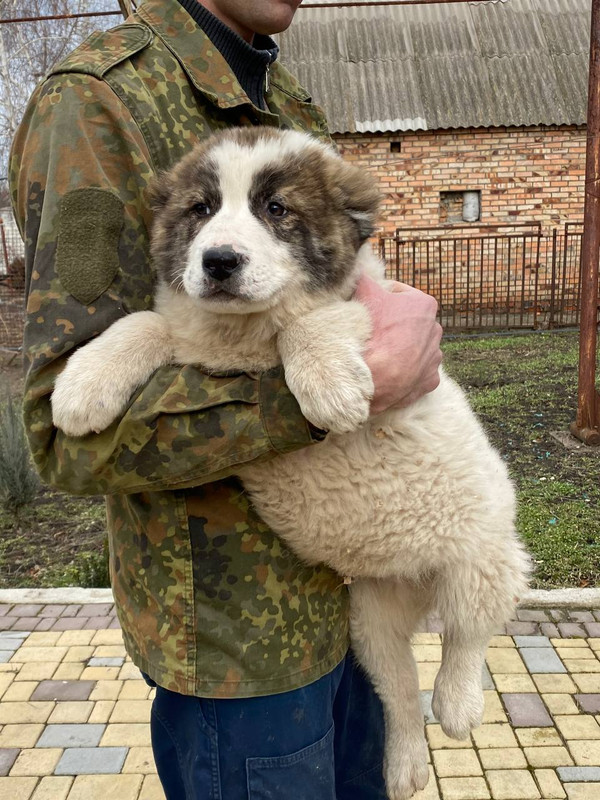 26832F18-A443-49E7-B4D7-EB7148A4CE90