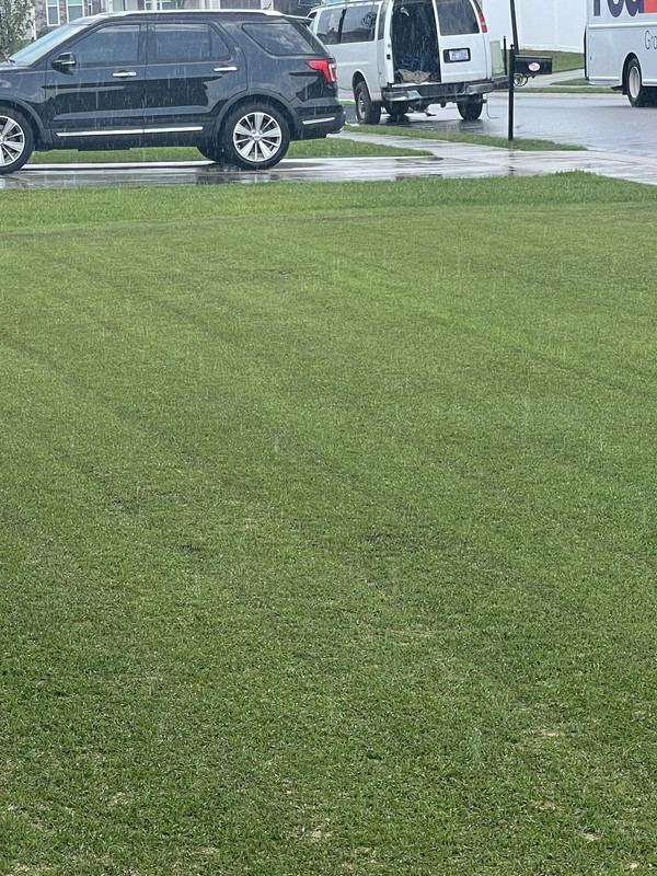 709707F0-C6F5-4EA2-9E27-3F1350A479FF