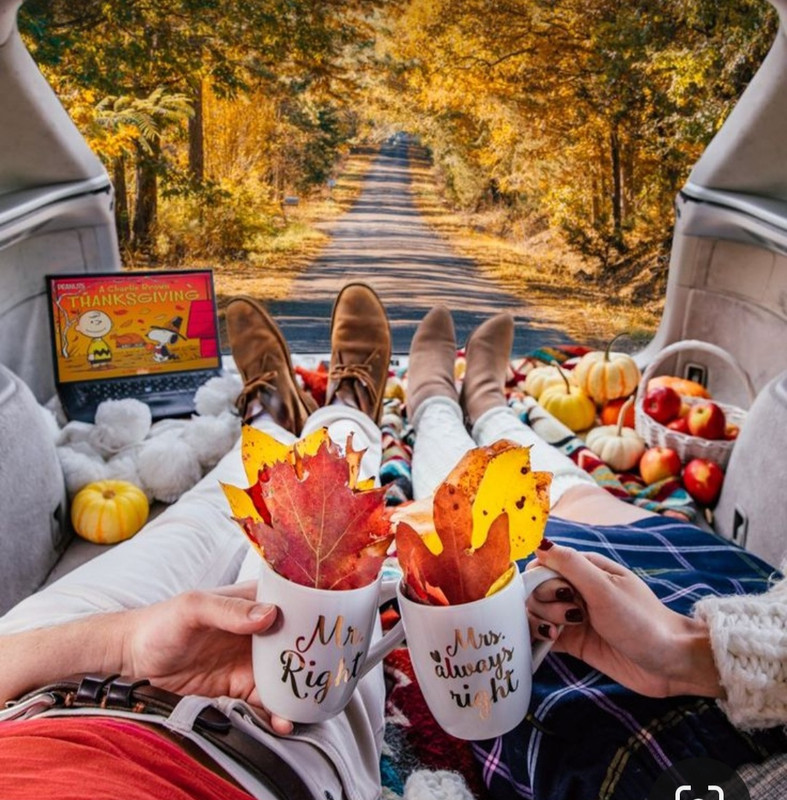 Screenshot_20231127_223237_Pinterest