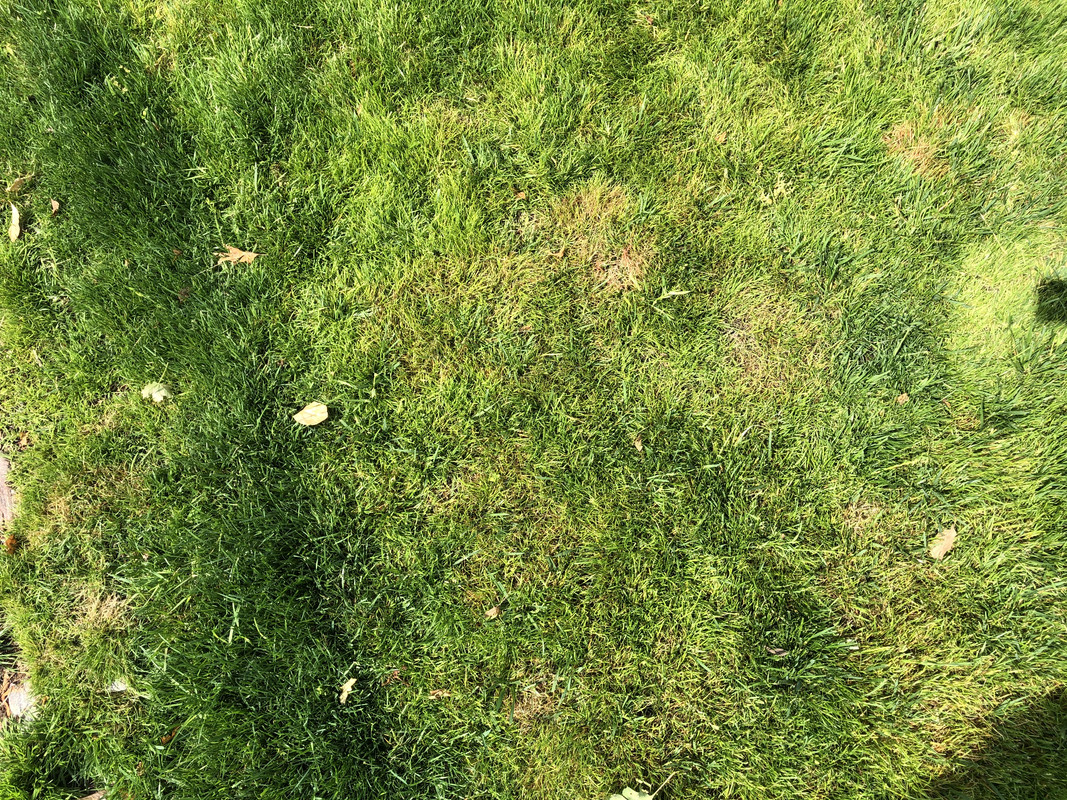 0EFBE1EE-6C41-4515-A466-69B99BF53EFB