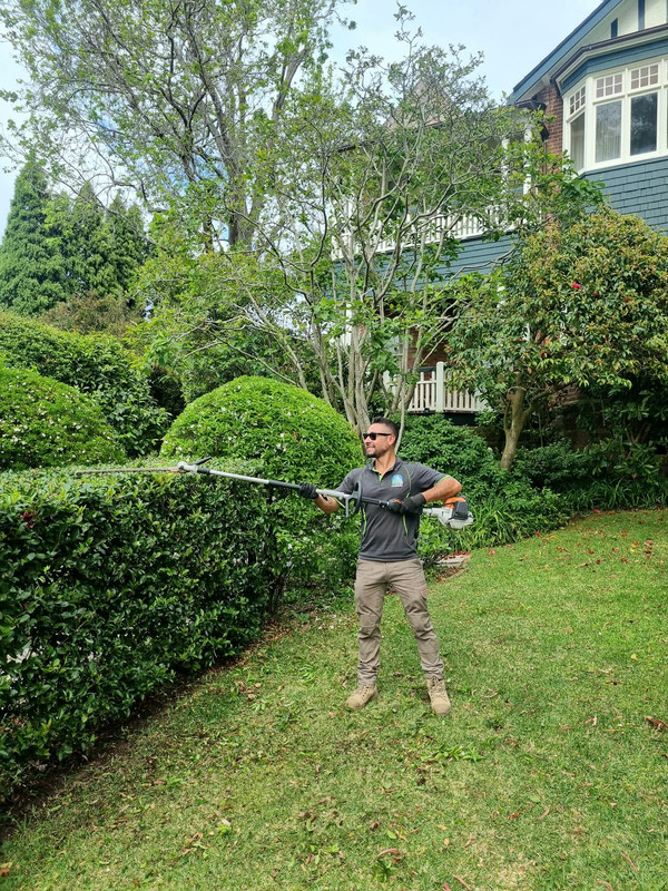Hardscaping Services