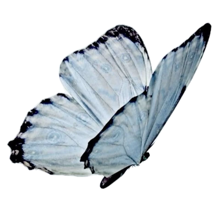 76