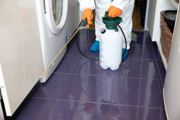 Kissimmee-Pest-Control-14.jpg