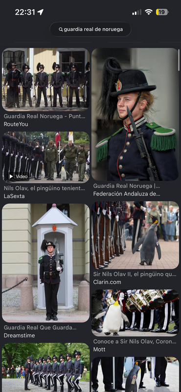 IMG-9066.png