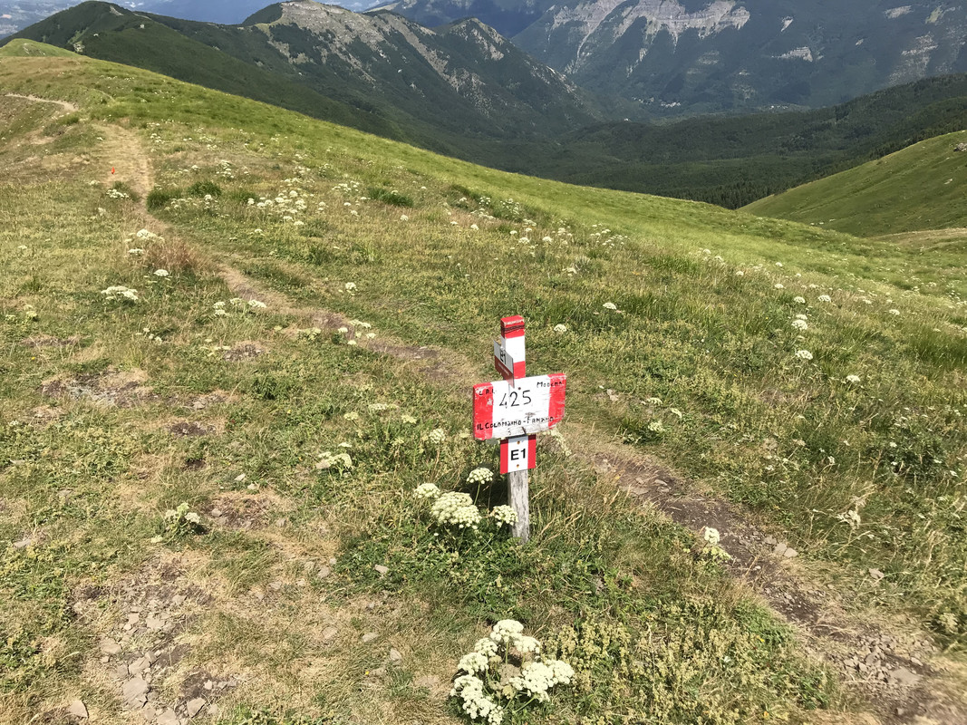 A65BB6B2-0E22-456F-A03C-621B15A3392D