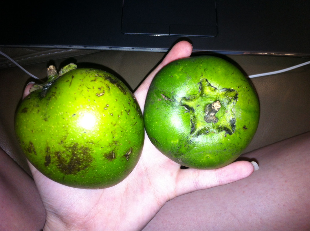 photo 3 (1)
