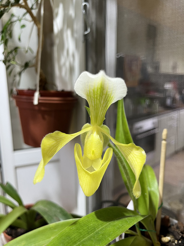 73A59470-2E8B-4024-BD36-094FB356674D