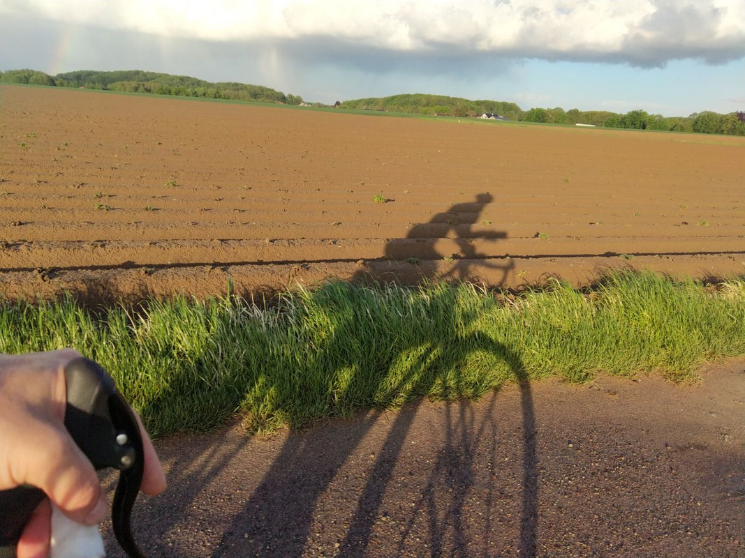 photo5859602888588900205