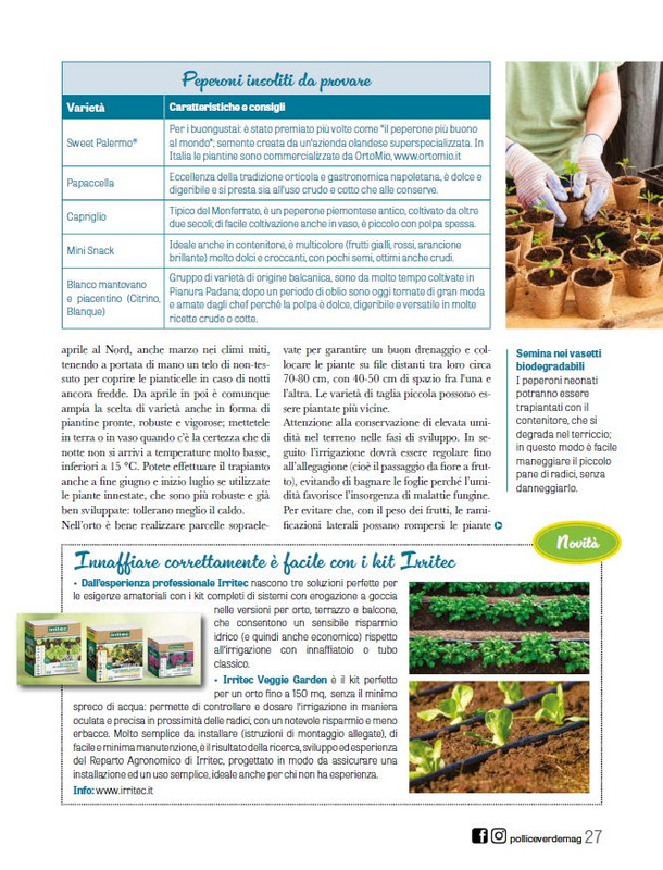 Pol Ver Lug 2025 (6)