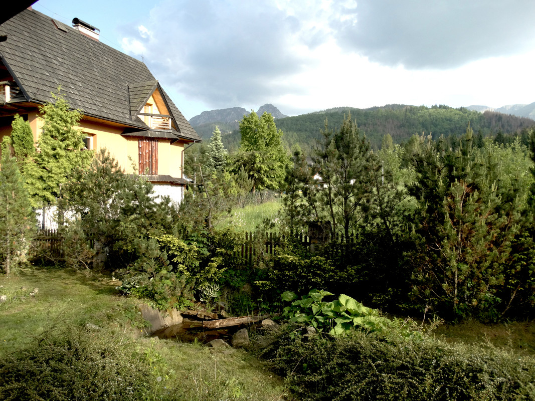 01.06 - DSC07987 ( Czesio1)