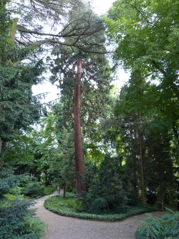 2014-07-13 Arboretum Härle 45