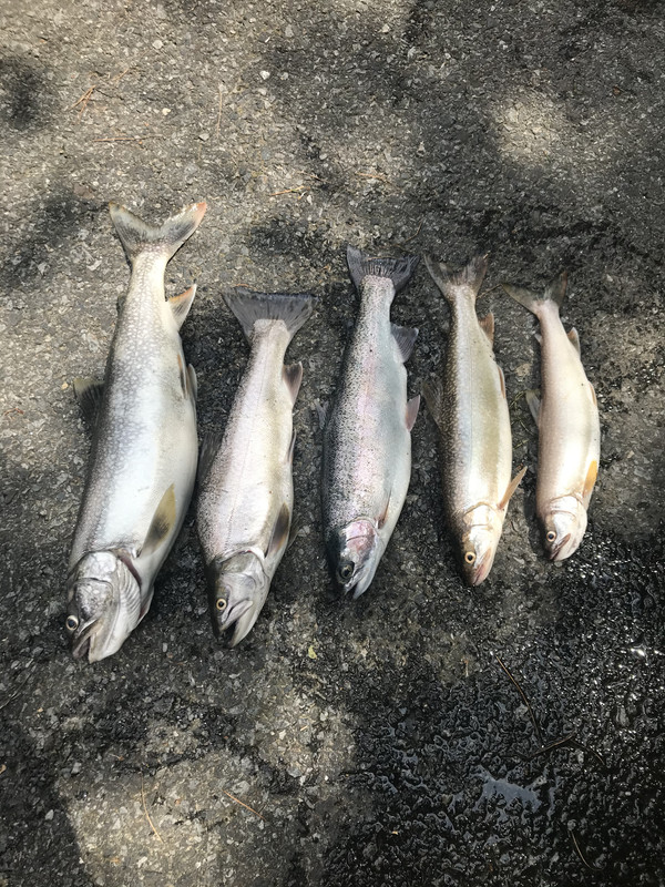 0D704879-2D5B-4F91-BB21-1EC1D40F51EC