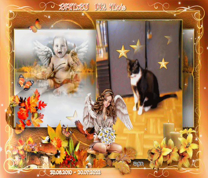 BAMBI-142-MOIS-GIF