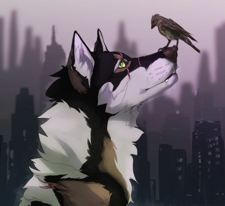 oh3.png