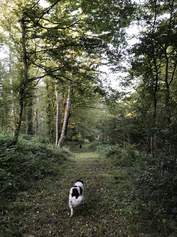 6B5246CF-5B33-49A9-9A08-77E9BAB51CFC