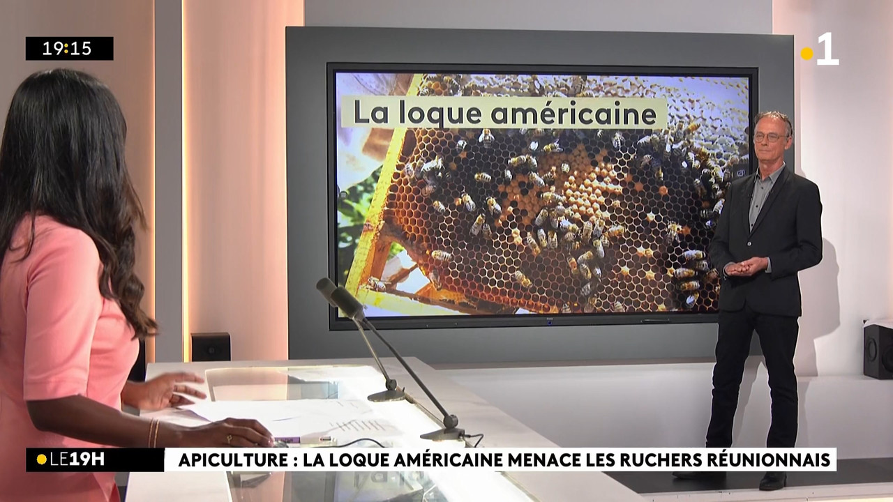 Le 19h Réunion - Édition du mercredi 27 mars 2024_La Première_2024_03_27_15_58.ts_snapshot_16.40.977