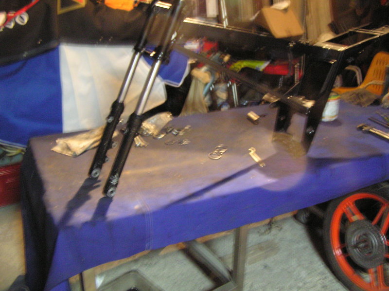 Picturevela luka 552