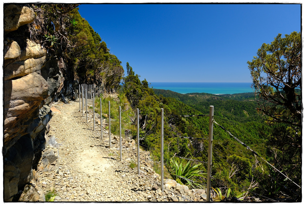 Paparoa NP: Paparoa Track (diciembre 2024) - Escapadas y rutas por la Nueva Zelanda menos conocida (39)