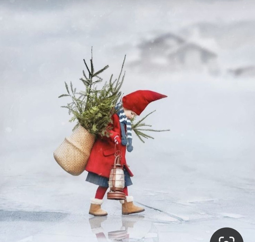 Screenshot_20231210_232034_Pinterest