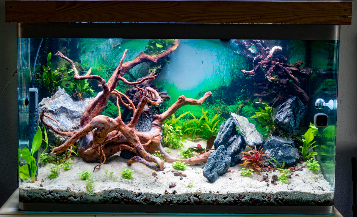 z aquarium 2