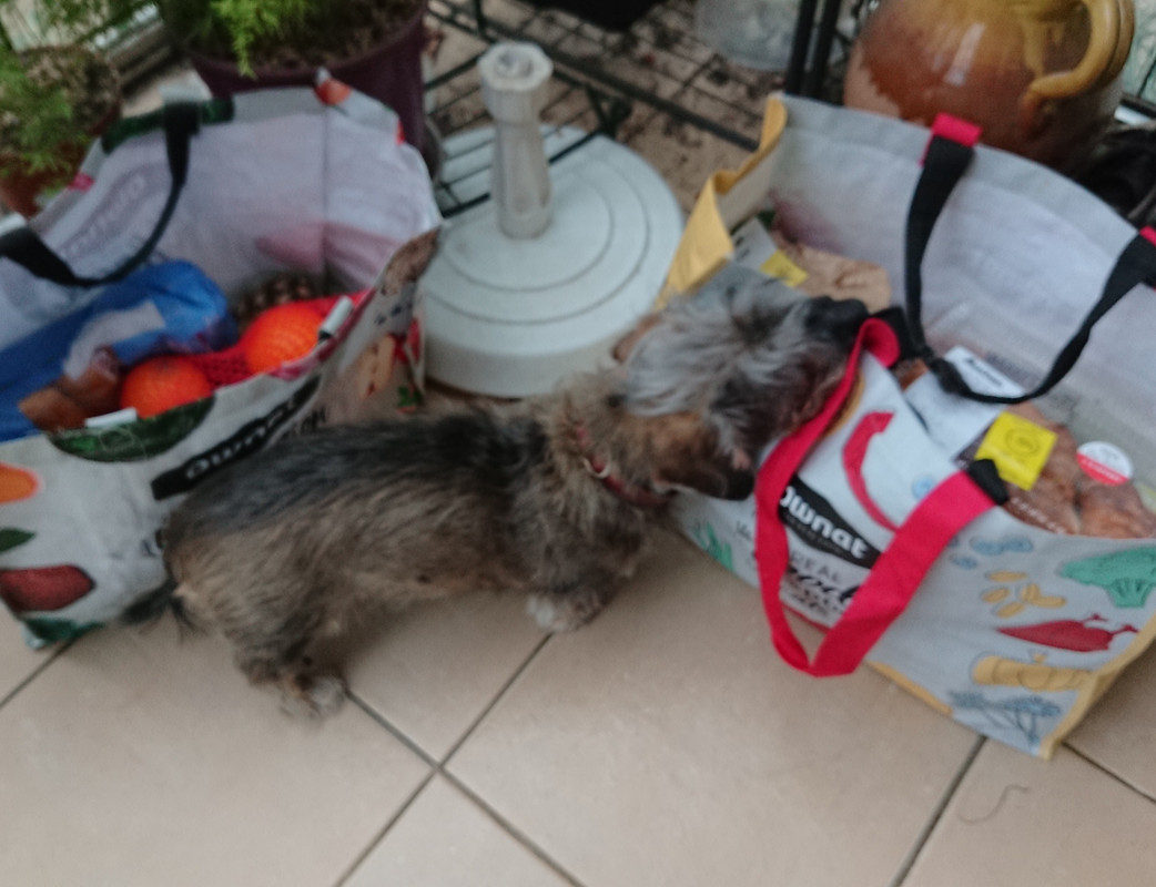 [Image: 20231027-174935.jpg]