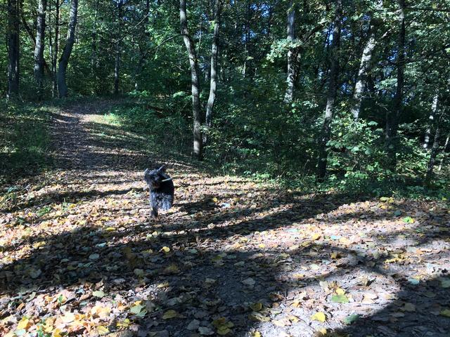 8678_D2_F3-_C907-419_D-8_F33-_ADF54_AC45