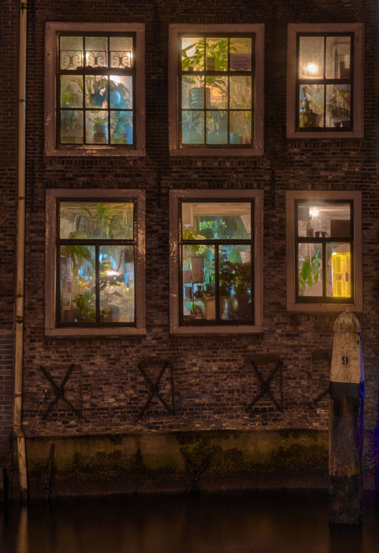 Fotografie