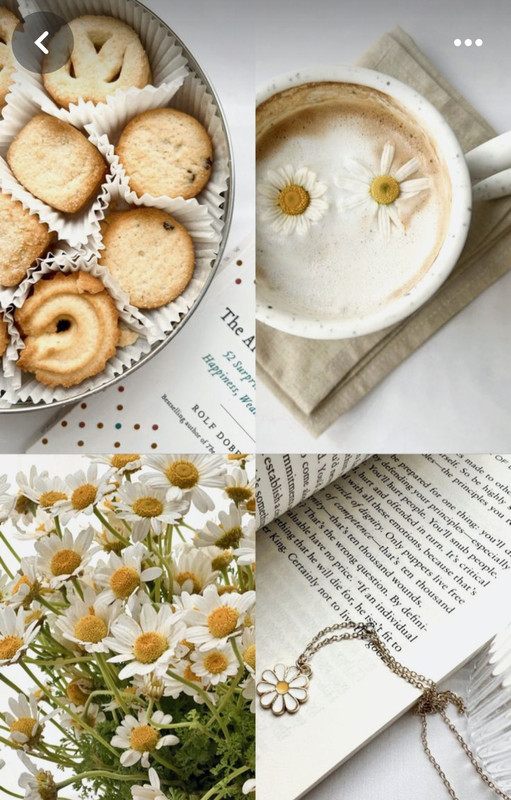 Screenshot_20240508_220438_Pinterest