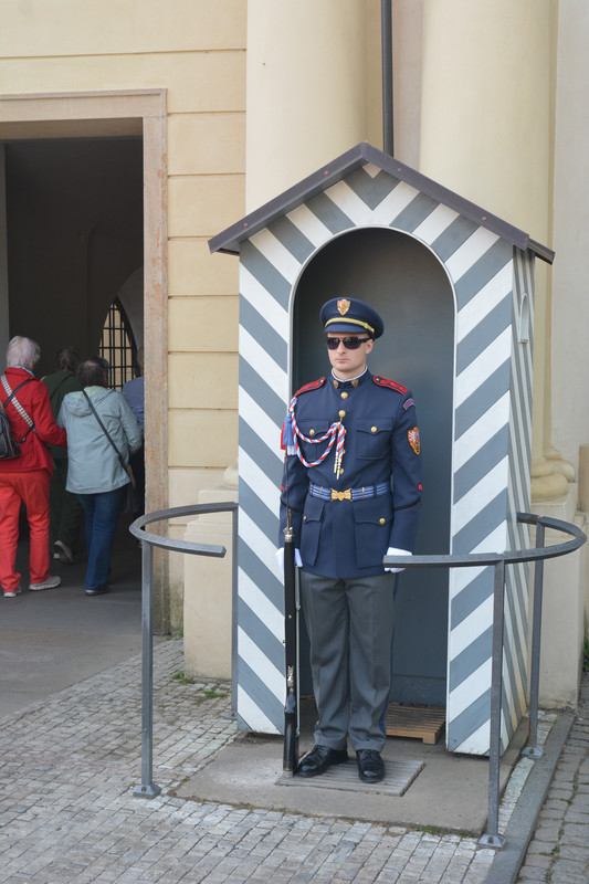 03.04 - DSC_9462 (Ater)