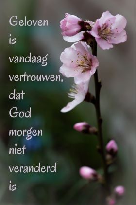 geloven
