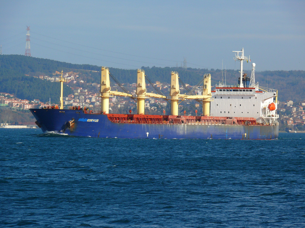 Corvus (OK-090214-2)