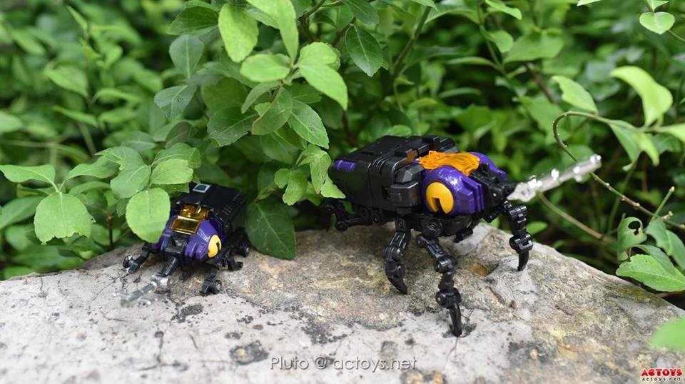 11831665_870623693024041_5074907756315956354_n