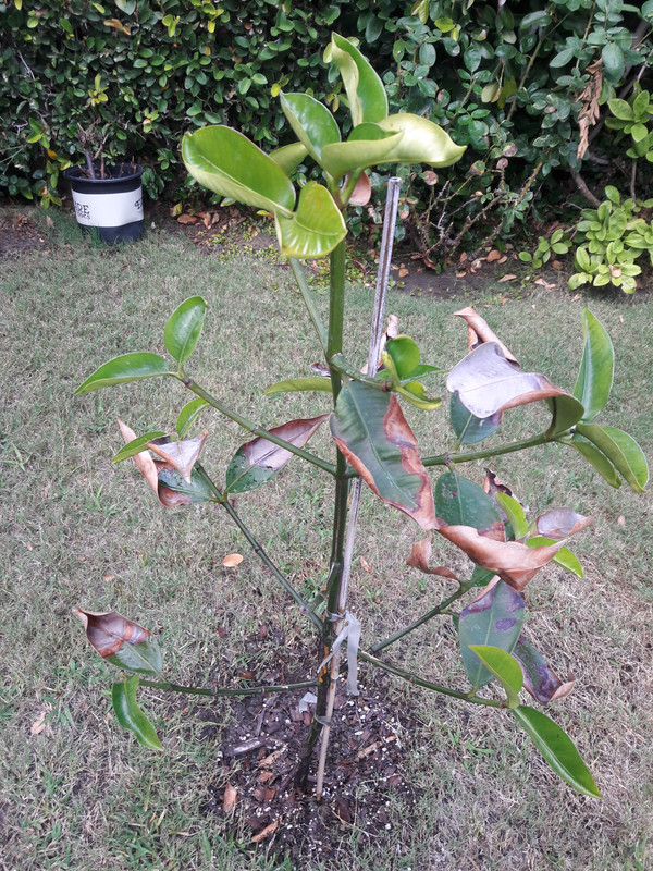 20180904_165427_1536107866863