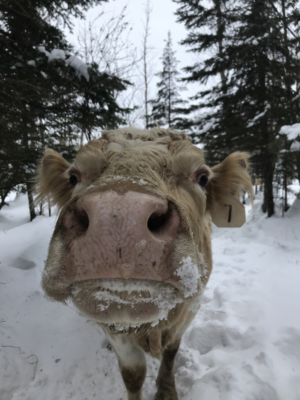 7D69128F-A0A7-49C6-9279-0973D453A656