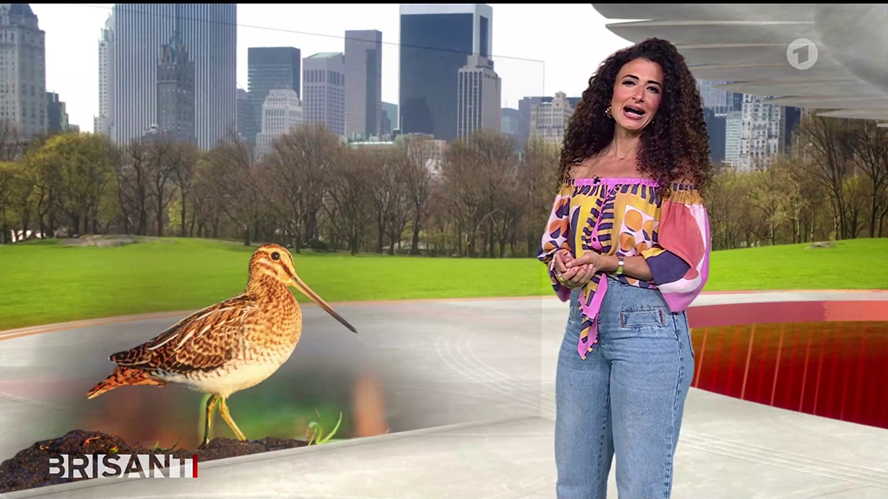 Marwa Eldessouky ARD BRISANT 17 04 2026 82X Caps 38