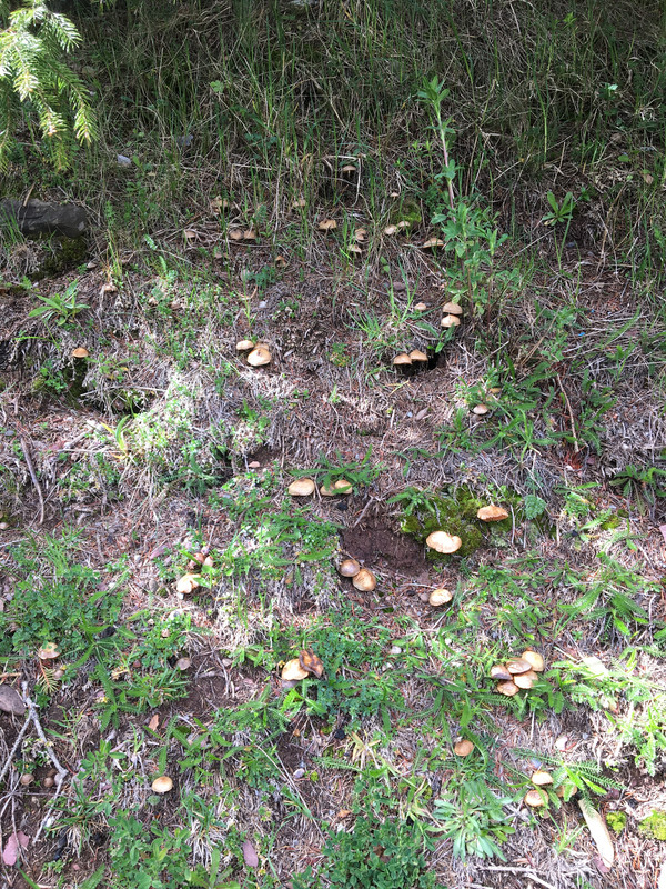 F9074C98-4BDC-48A2-92CA-1841F743BB0B