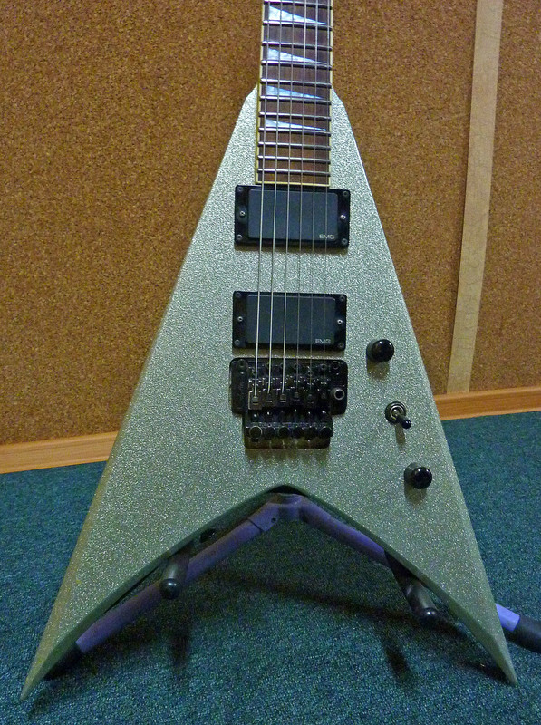 P1090050 copy