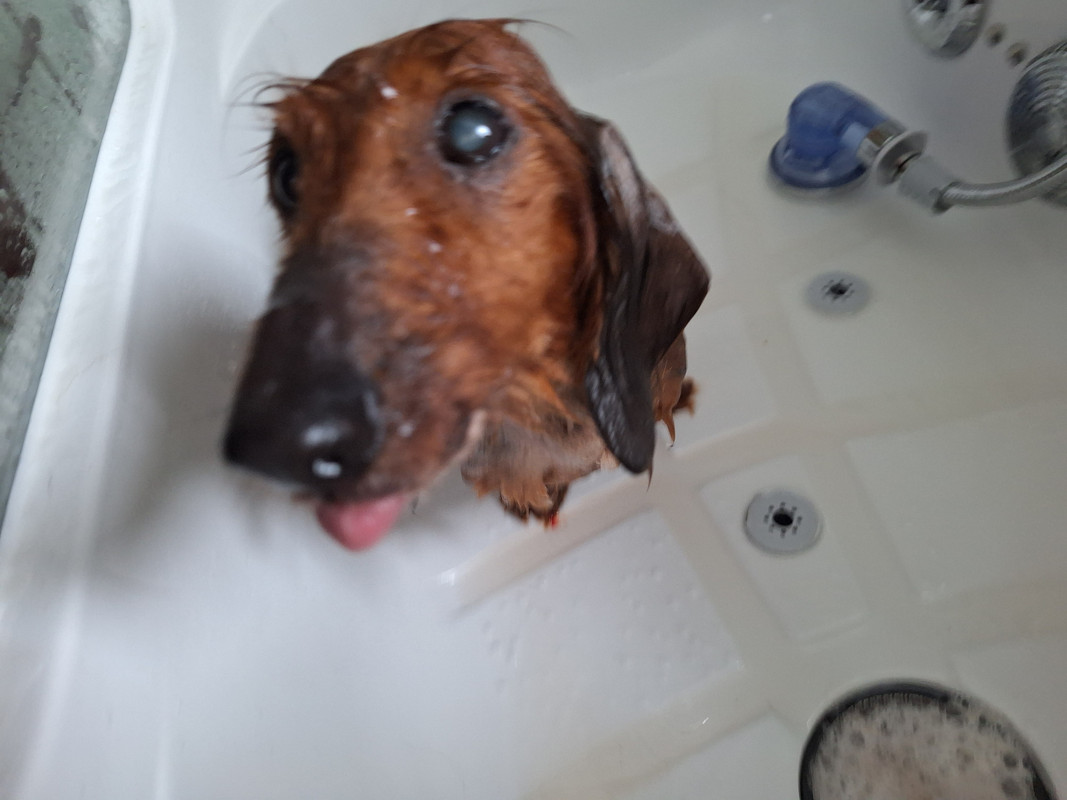 [Image: 20240506-150044.jpg]