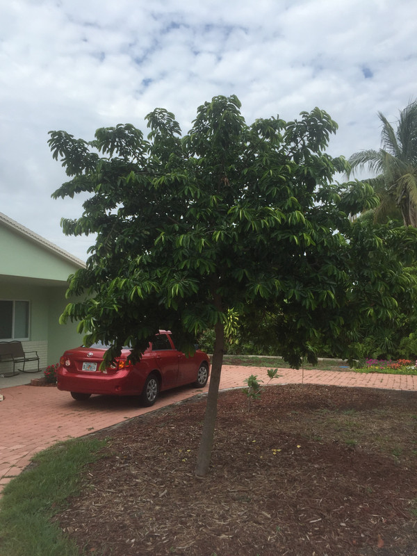 3DCF6536-1108-4807-B4E2-DE2E7CFB1EE5