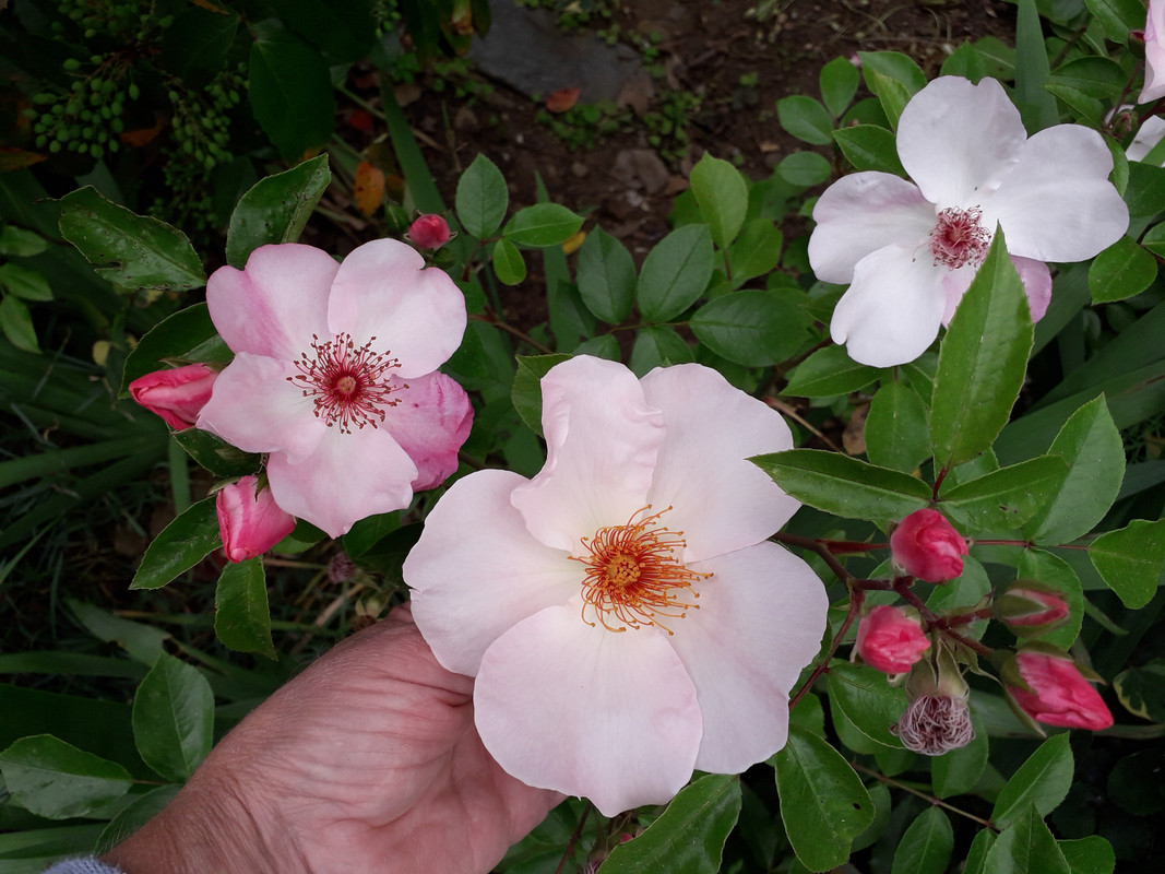 20190530_155706