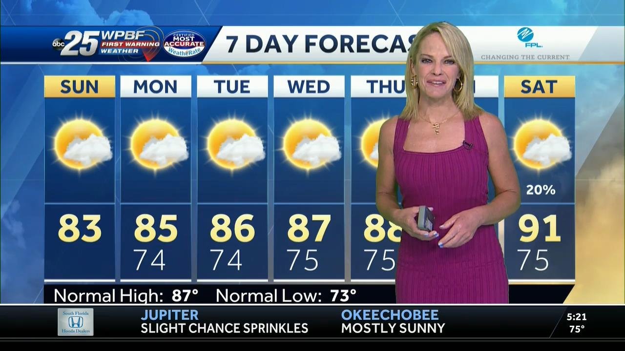 05.23 - 10.00.00 - WPBF 25 News..ts_snapshot_00.23.25_[2021.05.23_16.20.03]