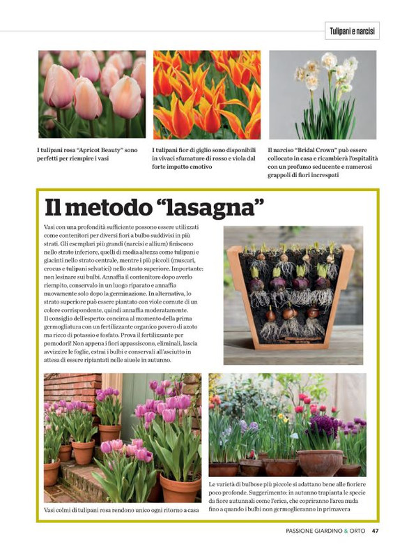 Pass Giar e Orto Lug-Ago-Set 2022 (6)